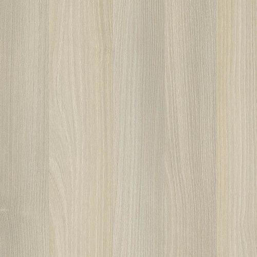 Акація б'янко