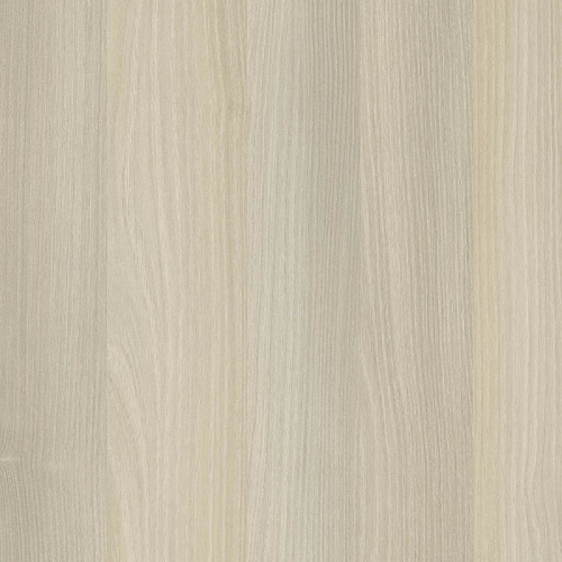 Акація б'янко